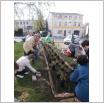 Galeria zdjęć: . Link otwiera powiększoną wersję zdjęcia.