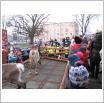 Galeria zdjęć: . Link otwiera powiększoną wersję zdjęcia.
