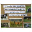 Galeria zdjęć: . Link otwiera powiększoną wersję zdjęcia.