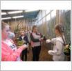 Galeria zdjęć: . Link otwiera powiększoną wersję zdjęcia.