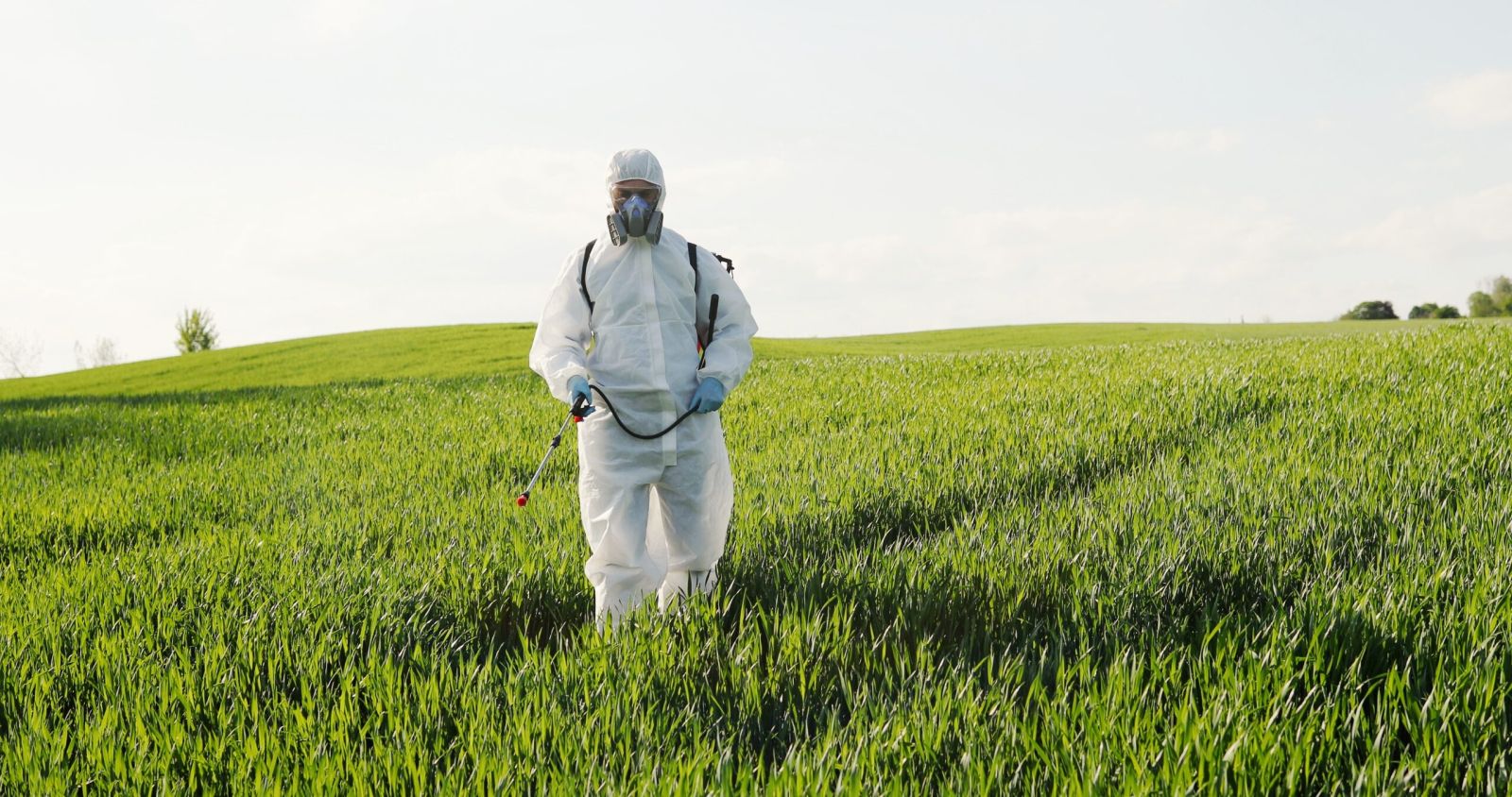 Zdjęcie: Informacja o stosowaniu fumigantów.